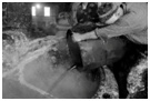 oliveoil soap greek aleppo